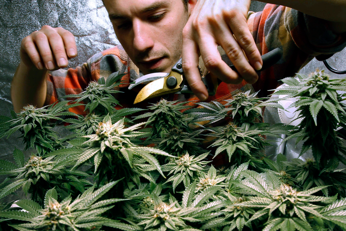 debate over marijuana legalization
